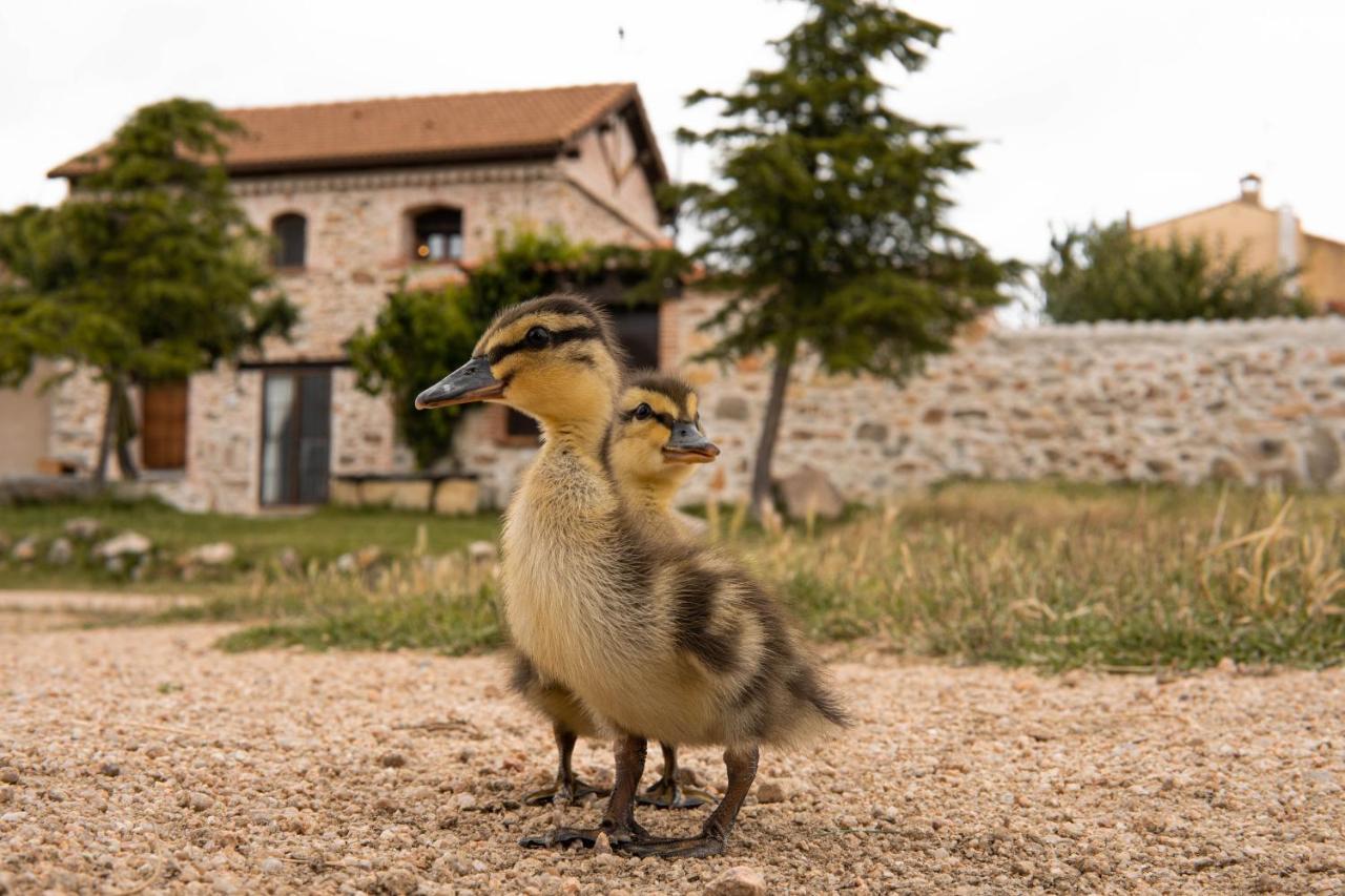 La Casa Del Buho Villa Santa María la Real de Nieva Kültér fotó